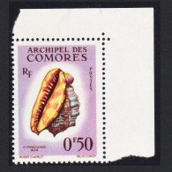 Comoro Is. Sea Shell 'Cypraecassis Rufa' 50c Corner 1962 MNH SG#23 MI#42 Sc#48 - Otros & Sin Clasificación