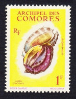 Comoro Is. Sea Shell 'Harpa Conoidalis' 1f 1962 MNH SG#24 MI#43 Sc#49 - Andere & Zonder Classificatie