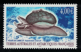 FSAT TAAF Snail Volute De Charcot 2005 MNH SG#538 MI#564 Sc#352 - Ongebruikt