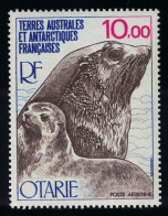 FSAT TAAF Antarctic Fur Seal And Cub Fauna Otarie 10Fr 1977 MNH SG#125 MI#119 Sc#C48 - Nuevos