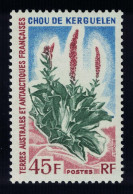 FSAT TAAF Kerguelen Cabbage Antarctic Flora 45f 1972 MNH SG#32 MI#81 Sc#54 - Nuevos