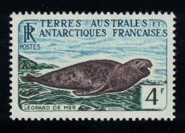 FSAT TAAF Leopard Seal Leopard De Mer 1960 MNH SG#7 MI#20 - Unused Stamps