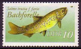 GDR Brown Trout 'Salmo Trulla' Variant 1987 MNH SG#E2802 MI#3096II - Neufs