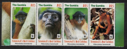 Gambia Red Colobus Monkey WWF 4v Strip 2016 MNH - Gambie (1965-...)