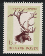 Hungary Red Deer Hunting Trophies 1Ft50 1966 MNH SG#2209 MI#2259A - Ungebraucht