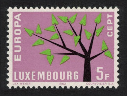 Luxembourg Stylised Tree Europa 5f. 1962 MNH SG#708 MI#658 - Nuevos