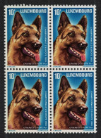 Luxembourg Sheepdog European Working Dog Block Of 4 1983 MNH SG#1117 MI#1084 Sc#698 - Nuovi