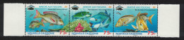 New Caledonia Fish Strip Of 3v 2009 MNH SG#1461-1463 MI#1489-1491 - Ungebraucht