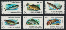 Romania Fishes 6v 1992 MNH SG#5424-5429 - Nuevos