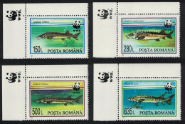 Romania WWF Sturgeons 4v Corners WWF Emblem 1994 MNH SG#5660-5663 MI#5034-5037 Sc#3954-3957 - Neufs