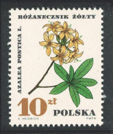 Poland Protected Plants 10 ZL Key Value 1967 MNH SG#1755 Sc#1516 - Ungebraucht