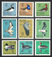 Poland Black-tailed Godwit Bird 50 Gr 1964 MNH SG#1484-1492 - Unused Stamps