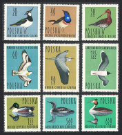 Poland Black-tailed Godwit Bird 50 Gr 1964 MNH SG#1484-1492 - Ongebruikt