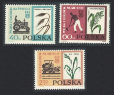 Poland Freedom From Hunger 3v 1963 MNH SG#1358-1360 Sc#1112-1114 - Neufs