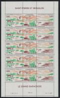 St. Pierre And Miquelon Horses Ducks Gulls Geese Birds 2v Full Sheet 1987 MNH SG#596-597 - Ungebraucht