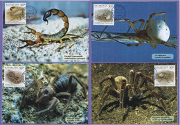 Kazakhstan 1997. Spiders. Fauna. Venomous Insects. Maxicard. Maximum Cards - Kasachstan