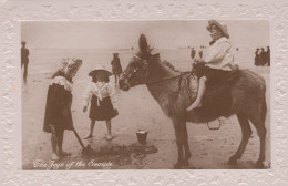 DONKEY Animals Children Vintage Antique Old CPA Postcard #PAA067.GB - Esel