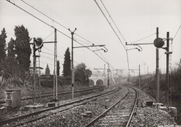 LINEA FERROVIARIA - Foto VASARI - Roma - Cm.13x18 - Eisenbahnen