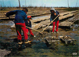 Metiers - Ostréiculteur - Bassin D'Arcachon - Scène Ostréicole Dans Un Parc à Huitres - CPM - Flamme Postale - Voir Scan - Fishing