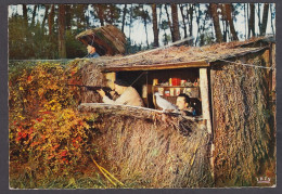 117531/ Chasse à La Palombe En Pays Landais, Une Palombière - Hípica