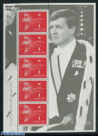 Netherlands 2013 King Willem Alexander M/s, Mint NH, History - Kings & Queens (Royalty) - Unused Stamps