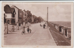 CARTOLINA DI Bray-Dunes - NORD - CPA FORMATO PICCOLO - Bray-Dunes