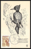 3567 Argentine (Argentina) Carte Maximum (card) Pic Vert Woodpecker Carpintero De Patagonia Fdc 6/2/1960 - Spechten En Klimvogels