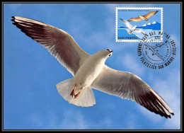 San Marin (san Marino) - Carte Maximum (card) 2211 MOUETTE Oiseaux (bird Birds) Larus Seagull 1978 - Gaviotas