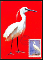 Roumanie (Romania) - Carte Maximum (card) 2216 Oiseaux (bird Birds Oiseau) Aigrette Egretta 1980 - Aves Gruiformes (Grullas)