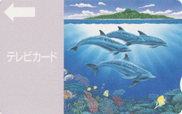 Carte JAPON Pour Télévision - ANIMAL - DAUPHIN - DOLPHIN Call JAPAN Prepaid TV Card - DELPHIN - 354 - Delfines