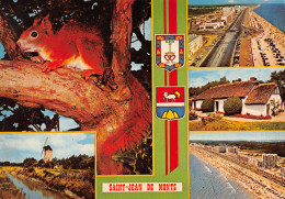 85-SAINT JEAN DE MONTS-N°T2743-A/0181 - Saint Jean De Monts