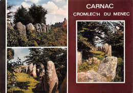 56-CARNAC-N°T2763-C/0373 - Carnac