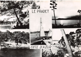 83-LE PRADET-N°T2765-A/0199 - Le Pradet