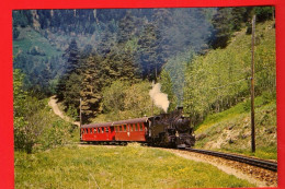 VBC-20 Train Furka-oberalp Entre Fiesch Et Fürgangen En Juinb 1970.  Non Circulé GF - Fiesch