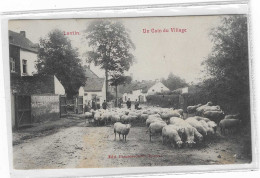 56412  -   Lantin  Un  Coin  Du  Village  -   Moutons - Juprelle