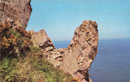 CPSM The Hanging Rocks-Alderney   L2966 - Alderney