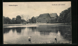 AK Falkenhagen, Dorfteich Mit Schule  - Other & Unclassified