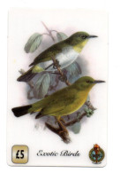 Oiseau Bird Exotic Télécarte Angleterre Royaume-Unis Phonecard (W 773) - [10] Colecciones