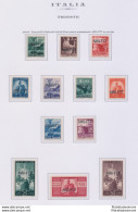 1949-50 TRIESTE A - Democratica 12 Valori , N° 56/67 La Serie Completa , MNH** - Otros & Sin Clasificación