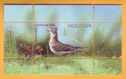 2015 Moldova Moldavie Moldau Birds From Moldovan Regions Block  Mint - Climbing Birds