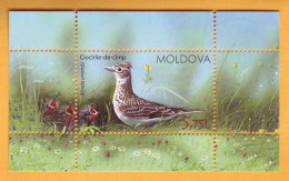 2015 Moldova Moldavie Moldau Birds From Moldovan Regions Block  Mint - Piciformes (pájaros Carpinteros)