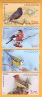 2015 Moldova Moldavie Moldau  Birds From Moldovan Regions 4v Mint - Piciformes (pájaros Carpinteros)