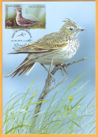 2015 Moldova Moldavie Moldau MAXICARD Birds From Moldovan Regions Block - Spechten En Klimvogels