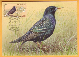 2015 Moldova Moldavie Moldau MAXICARD Birds From Moldovan Regions 1.20 - Piciformes (pájaros Carpinteros)