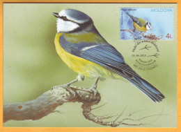 2015 Moldova Moldavie Moldau MAXICARD Birds From Moldovan Regions 4.00 - Picchio & Uccelli Scalatori