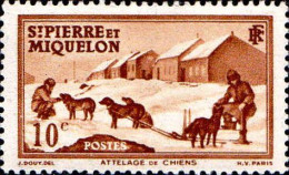 SPM Poste N** Yv: 171 Mi:174 Attelage De Chiens - Unused Stamps