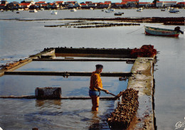 85 LA TRANCHE LAVAGE DES HUITRES - La Tranche Sur Mer