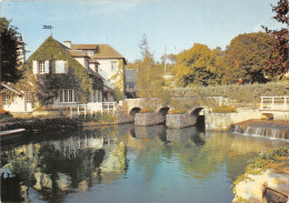 45 CHATILLON COLIGNY LE MOULIN DE LA FOSSE - Chatillon Sur Loire