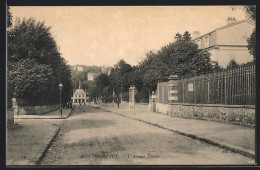 CPA Montmorency, L`Avenue Émilie  - Montmorency