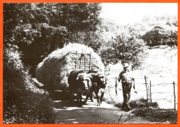 N° 39 1979 En Bonne Chorâye Charrette Foin Boeufs Paysans Fenaison Un Bon Chargement 88 Vosges Vieux Métiers Aymard Expo - Farmers